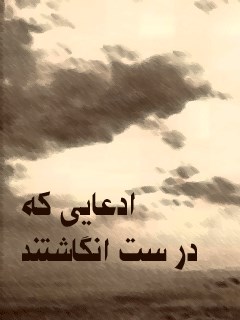 تحميل كتاب ادعایی که درست انگاشتند ل فاطمه ملکی طجر PDF فاطمه ملکی طجر