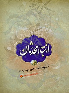 تحميل كتاب از تبار محدثان سکینه دخت امیرمؤمنان علیه السلام ل علی اکبر مهدی پور PDF علی اکبر مهدی پور