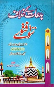 تحميل كتاب Biddat Kay Khilaf 100 Fatwa بدعات کے خلاف سو فتاوے PDF