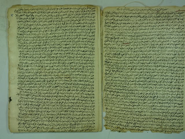 تحميل كتاب الفصول الخمسة عشر فيما يوجي التعزير و ما لا يوجب للاسشروشيتي PDF