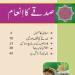 تحميل كتاب Sadqay ka Inaam صدقے کا انعام PDF
