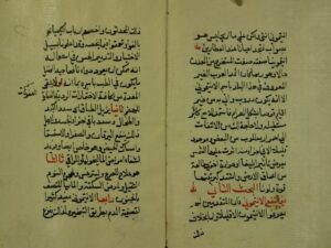 تحميل كتاب الدرة الميمونة في كيفية أفعال الانيتونية PDF