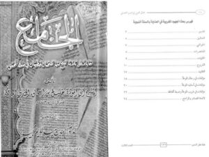 تحميل كتاب الجامع لأبي مودة ل خليل بن إسحاق الجندي المالكي أبو مودة PDF