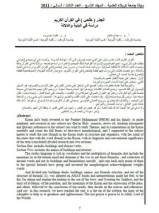 تحميل كتاب الجذر خلص في القرآن الكريم دراسة في البنية والدلالة ل علياء نصرت, نجاح فاهم PDF