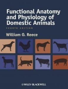 تحميل كتاب Functional Anatomy and Physiology of Domestic Animals PDF
