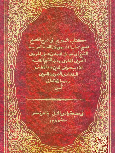 تحميل كتاب التلويح في شرح الفصيح لأبي سهل محمد بن علي الهروي PDF