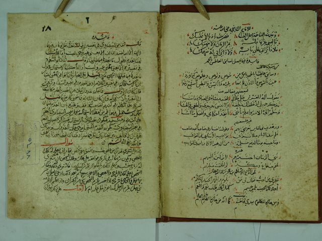 تحميل كتاب اسئلة و حواشي و فوائد لم يعلم المؤلف PDF