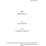تحميل كتاب Dajjal الدجال في السنة المشرفة PDF طارق أحمد محمد يوسف بدون تعقيد