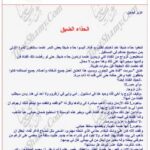 تحميل كتاب الحذاء الضيق PDF عزيز نيسين