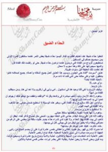 تحميل كتاب الحذاء الضيق PDF عزيز نيسين
