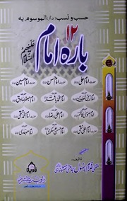 تحميل كتاب Bara 12 Imam بارہ امام PDF