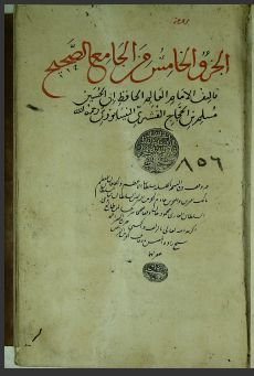 تحميل كتاب المقالات 856 PDF