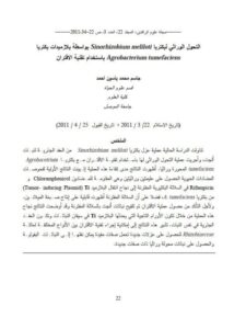 تحميل كتاب التحول الوراثي لبكتريا Sinorhizobium meliloti بواسطة بلازميدات بكتريا Agrobacterium tumefaciens بإستخدام تقنية الإقتران لجاسم محمد ياسين أحمد PDF جاسم محمد ياسين أحمد