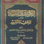 تحميل كتاب الكشف والتنبيه على الوصف والتشبيه ل صلاح الدين خليل بن أيبك الصفدي PDF