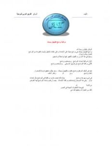 تحميل كتاب الفيجوال بيسك والبرمجة العكسية PDF