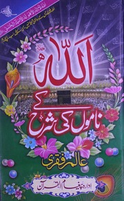 تحميل كتاب Allah Ke Namo Ki Sharah اللہ کے ناموں کی شرح PDF