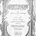 تحميل كتاب الإثبات بالقرائن بين الحظر والإباحة ل عادل عبد الحميد الفجال PDF