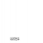 تحميل كتاب الجامع الأموي في دمشق – نسخة مصورة PDF على الطنطاوي