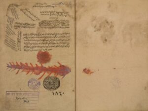 تحميل كتاب المصباح في شرح المفتاح للسيد الشريف أبي الحسن: علي بن محمد الجرجاني PDF علي بن محمد الجرجاني