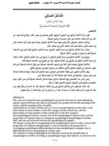 تحميل كتاب التداخل الصرفي PDF رضا هادي حسون