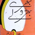 تحميل كتاب Bhary Bharoly بھرے بھڑولے PDF
