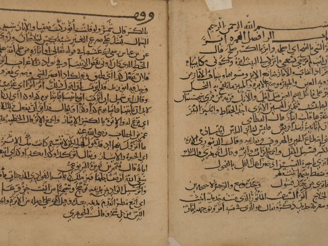 تحميل كتاب التكملة والذيل والصلة لرضي الدين: الحسن بن محمد الصغاني PDF الحسن بن محمد الصغاني