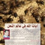 تحميل كتاب آيات الله في عالم النحل PDF د.رمضان مصري هلال