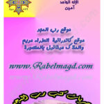 تحميل كتاب الخدمة الروحية والخادم الروحي الجزء الأول PDF البابا شنودة الثالث