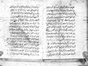 تحميل كتاب مخطوطة اليرقة الحمراء والاسرار الكبرى PDF