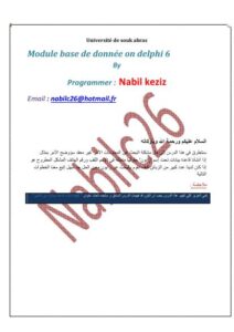 تحميل كتاب البحث في قاعدة بيانات بالدلفي PDF