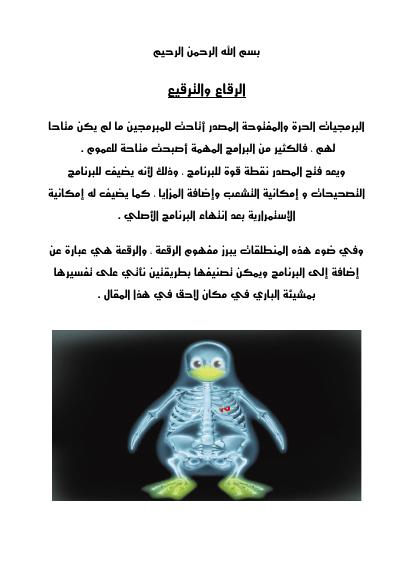تحميل كتاب الرقاع و الترقيع PDF مصعب الزعبي نسخة سريعة القراءة