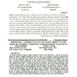 تحميل كتاب التنبؤ بالنباتات النشطة للذرة الصفراء في الحقل بالبادرات النشطة البازغة في الرمل PDF فرنسيس أورها جنو, مدحت مجيد الساهوكي