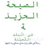 تحميل كتاب الصيحة الحزينة في البلد اللعينة PDF محمد بن رزق بن الطرهوني
