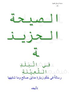 تحميل كتاب الصيحة الحزينة في البلد اللعينة PDF محمد بن رزق بن الطرهوني