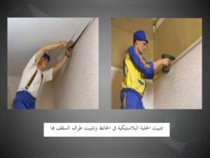 تحميل كتاب الاسقف الفرنسية PDF