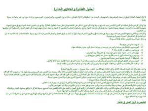 تحميل كتاب العقول الطائرة والخنازير الحائرة PDF الشيخ عرب