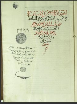 تحميل كتاب الاصابة في تمييز الصحابة ج2 2958 ل PDF ابن حجر العسقلاني