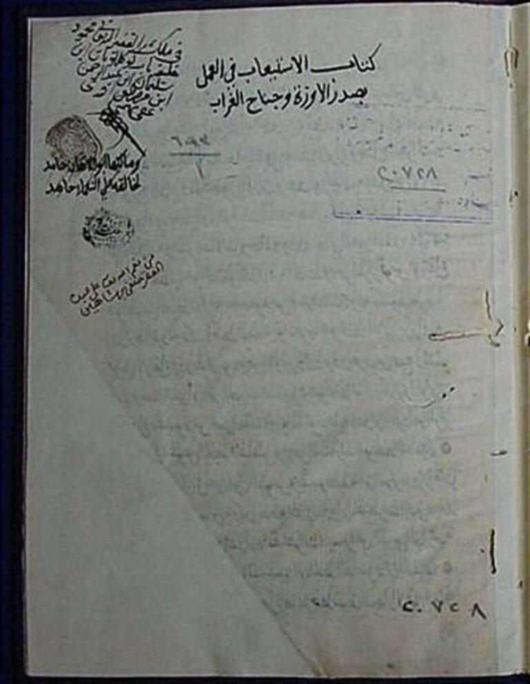 تحميل كتاب الاستيعاب في العمل بصدر الإوزة وجناح الغراب لابن المجدي PDF أحمد بن رجب بن طيبغا المجدي