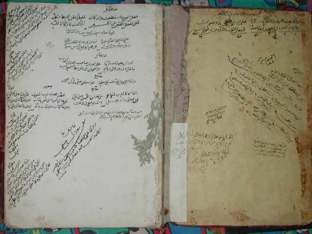 تحميل كتاب الثمرات اليانعة والأحكام الواضحة القاطعة لم يعرف PDF