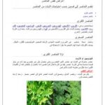 تحميل كتاب اعراض نقص العناصر فى البطاطس PDF محمود ناصر