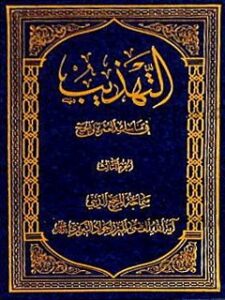 تحميل كتاب التهذيب في مناسك العمرة والحج PDF آيت الله العظمي ميرزا جواد تبريزي