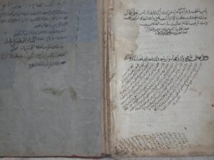 تحميل كتاب التصفية عن الموانع المهلكة المردية PDF محمد بن الحسن الديلمي