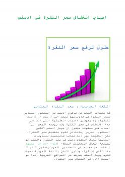 تحميل كتاب اسباب انخفاض سعر النقرة في ادسنس PDF أبو إسماعيل الهروي