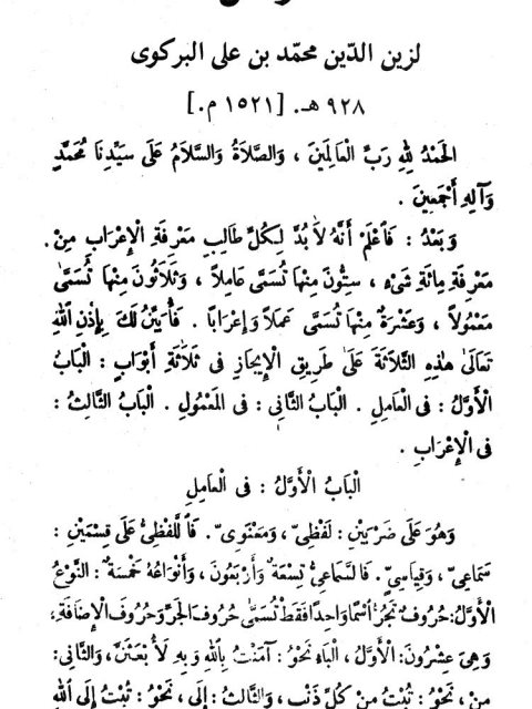 تحميل كتاب العوامل PDF زين الدين محمد بن علي البركوي