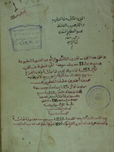 تحميل كتاب الترغيب و الترهيب ج2 PDF زكي الدين المنذري