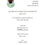 تحميل كتاب الآراء النحوية في كتاب أبي المرشد المعري تفسير أبيات المعاني للمتنبي دراسة وترجيح لعبد العزيز محمد محمد المالكي PDF